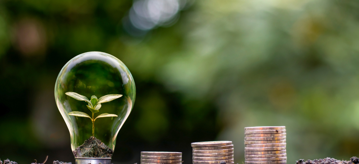 Cookieレス時代のB2B戦略：ファーストパーティデータ活用法