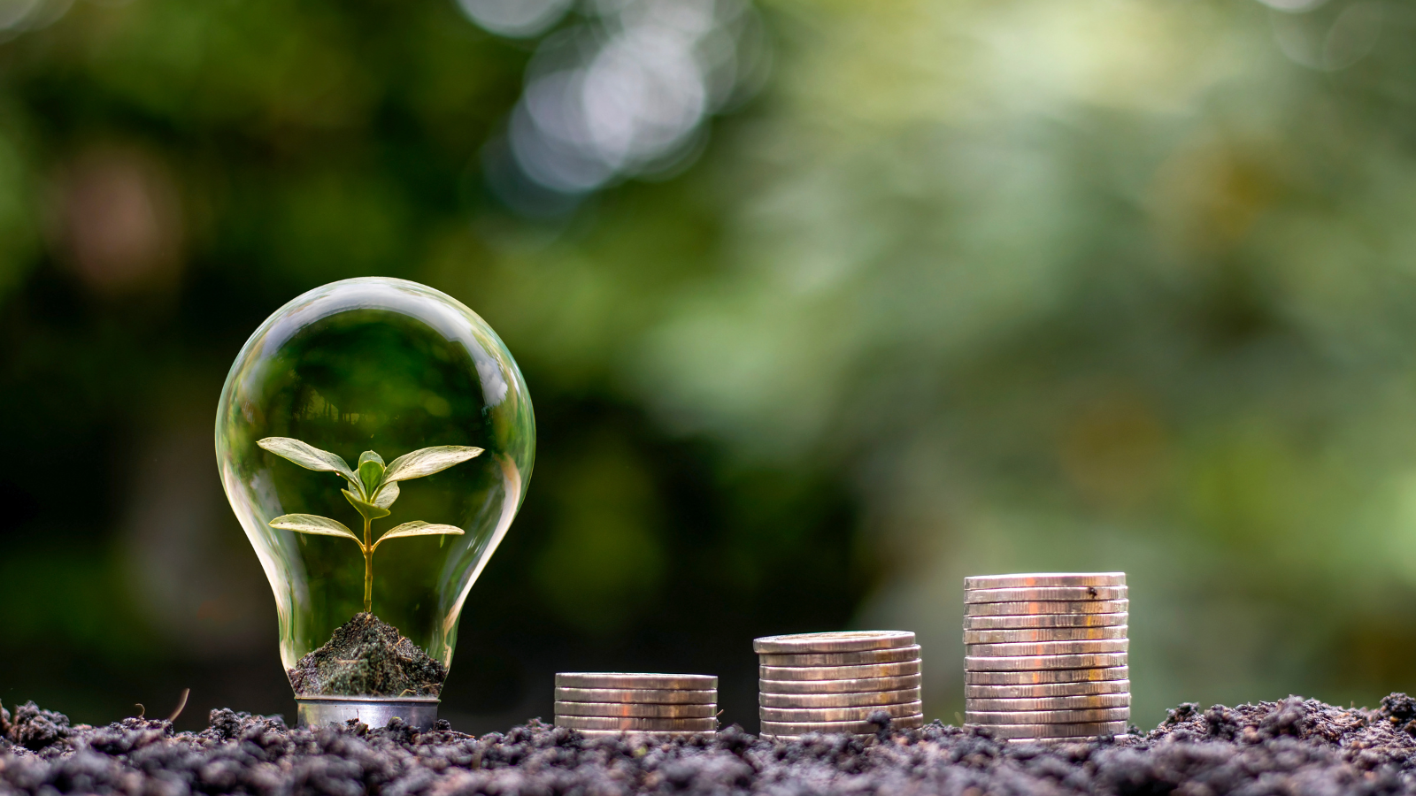 Cookieレス時代のB2B戦略：ファーストパーティデータ活用法